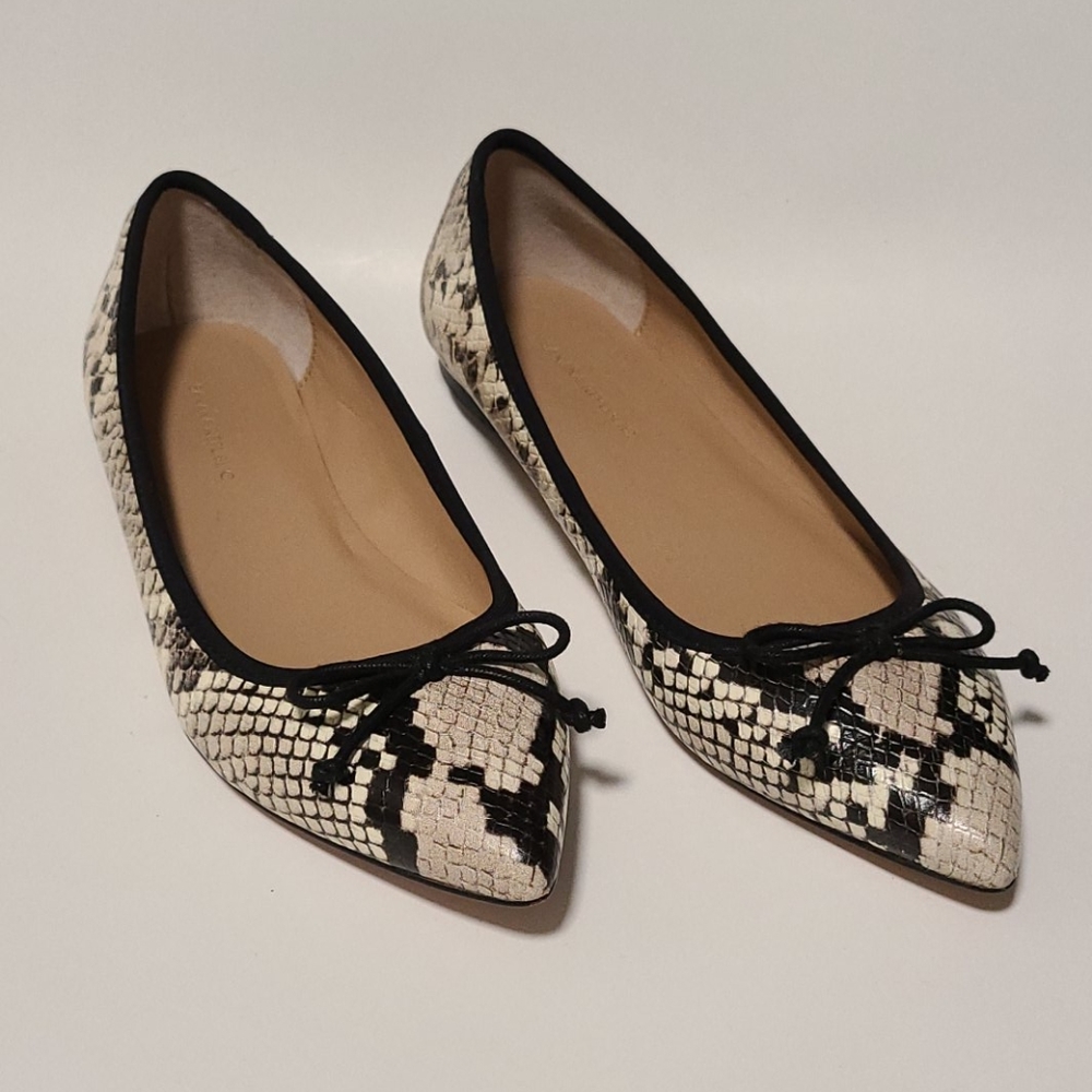 Banana Republic snake skin flats.